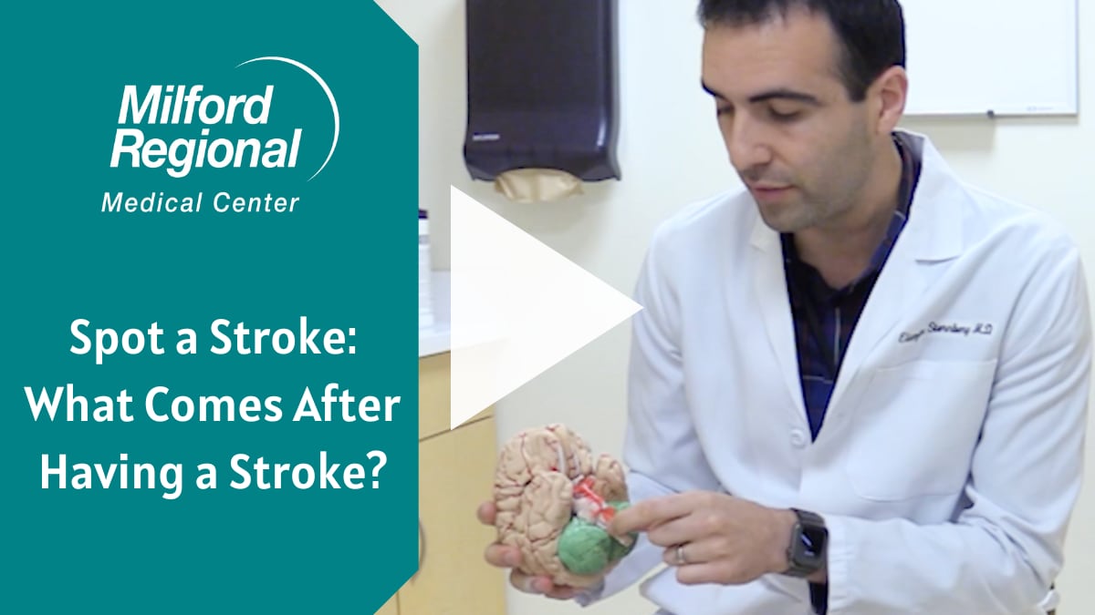 Sternberg_stroke_video