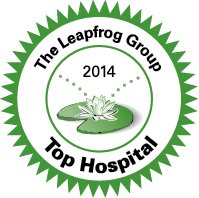 Leapfrog Group Logo