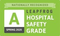 Leapfrog Logo Spring 2020