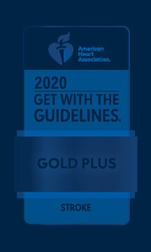 Get with the Guidelines Stroke Gold Award 2020