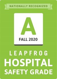 Leapfrog logo fall 2020