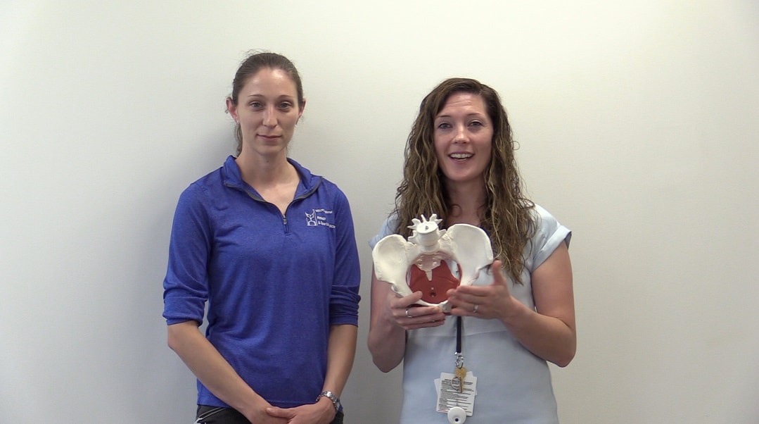 Physical therapists in the women's health program